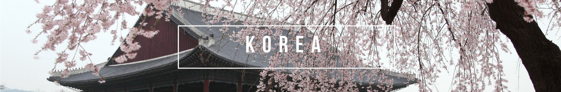 banner with stock image of a traditional korean building and cherry blossoms; text: Korea