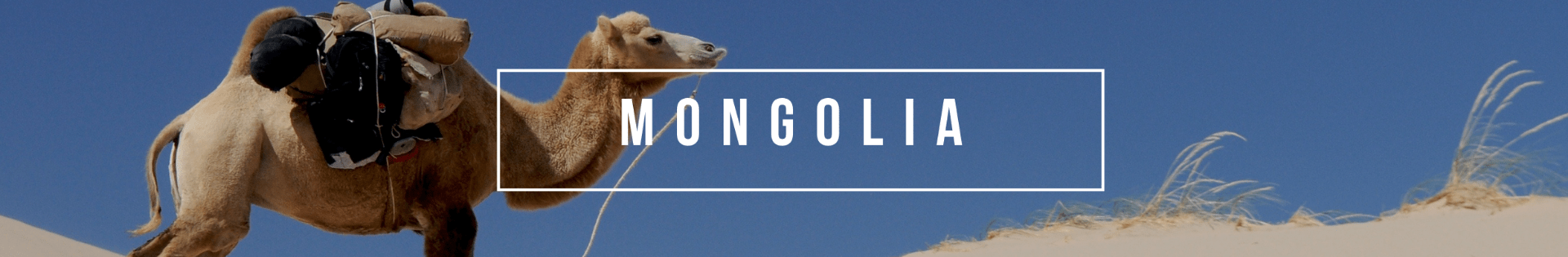 banner with stock image of a camel; text: Mongolia