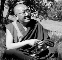 A black and white headshot of Arjia Rinpoche